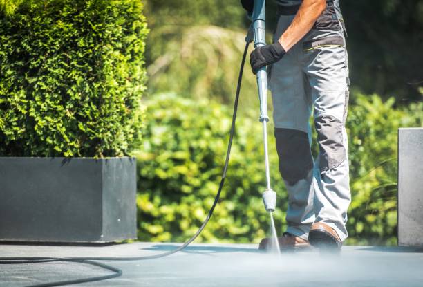 Best Gutter Cleaning  in Manassas Park, VA