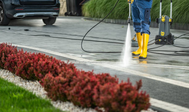 Best Dumpster Area Cleaning  in Manassas Park, VA