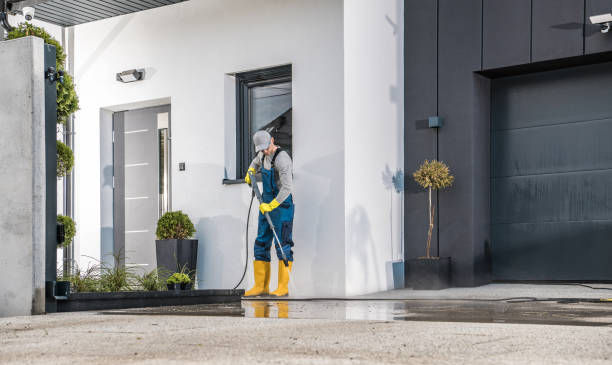 Animal Enclosure Cleaning in Manassas Park, VA